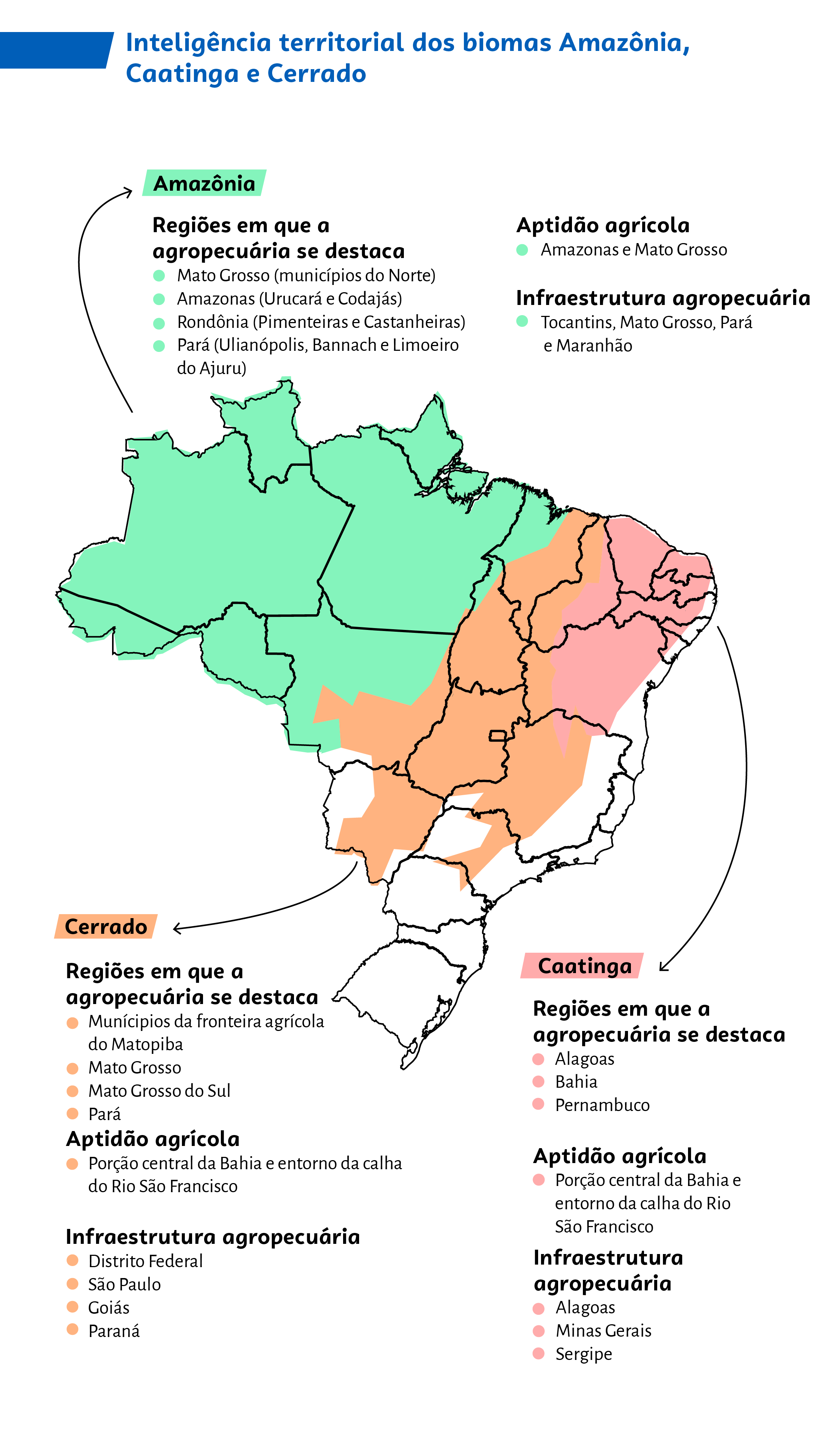 Inteligência Territorial Como Empreender Nos Biomas Brasileiros Sebrae 1786